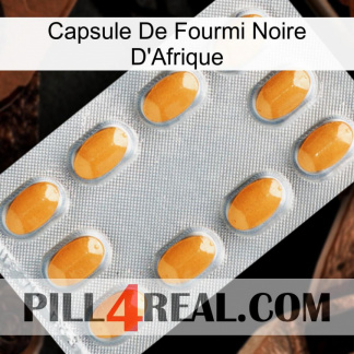 Africa Black Ant Capsule cialis3